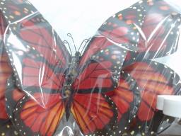 JGO MARIPOSA PARED 3PCS MED 3/1