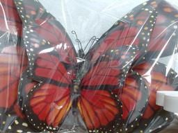 JGO MARIPOSA PARED 3PCS GDE 3/1