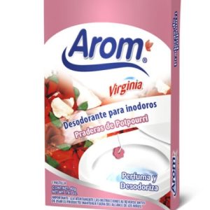 PASTILLA INOD POTPOURRI 6/1 BZ