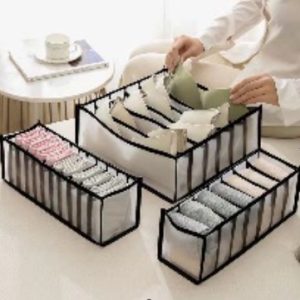 ORGANIZADOR INTERIORES 6 DIV 3/1