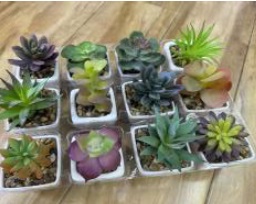 MACETERO PLANTA CON PIEDRA 12/1