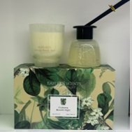 DIFUSOR DE AROMA 150+100ML MOONLIT NIGHT 3/1